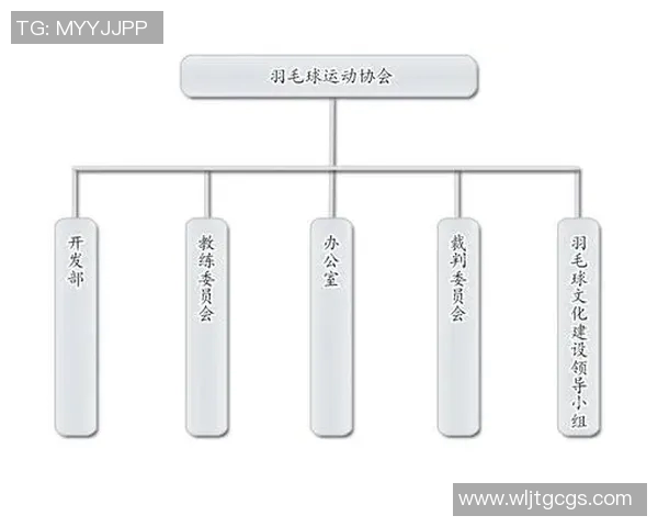 武汉羽毛球队的节奏体系与羽毛球战术的深度解析与应用探讨
