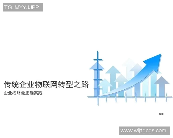 上海排球队的转型之路：从传统强队到现代化竞技新标杆