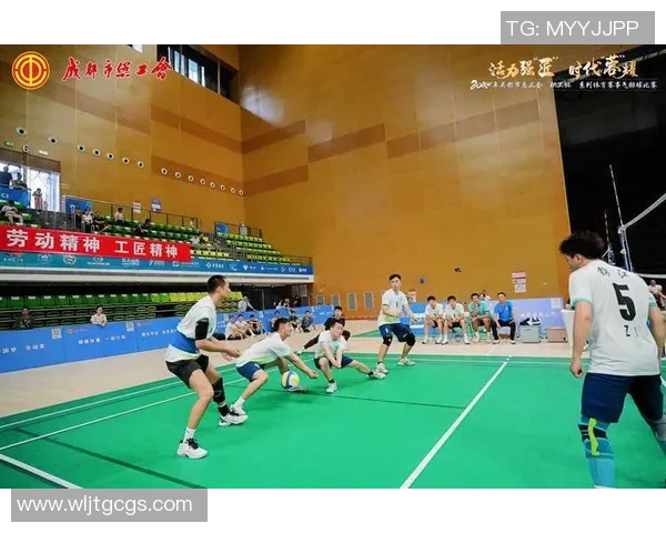 成都排球队逆袭之路全国锦标赛特别报道展现拼搏精神与团队力量