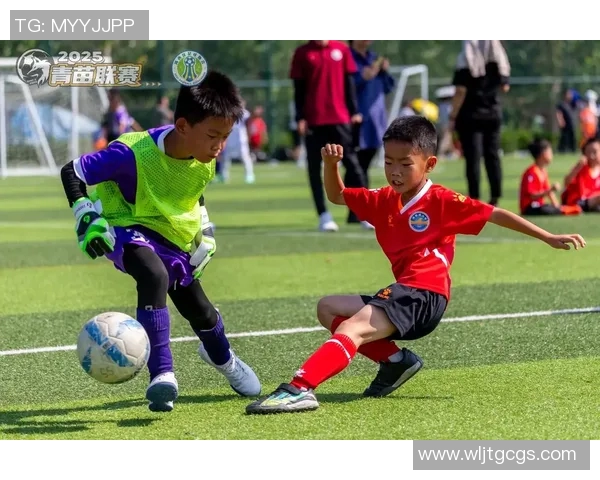 我心中的足球明星与他们的精彩瞬间分享