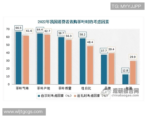 武汉排球队实力分析与发展前景的深度探讨与展望